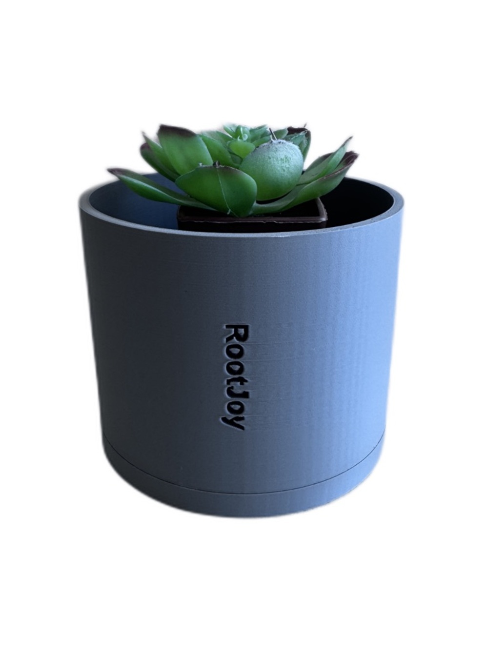Matte Gray Minimal Planter Pot with Green Succulent - Modern Home Accent